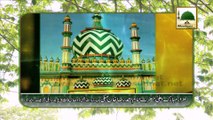 Islami Tareekh - Madani Guldasta 295 - Maulana Ilyas Qadri