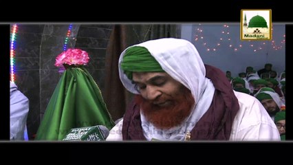 Machli Ka Tail - Short Bayan - Maulana Ilyas Qadri