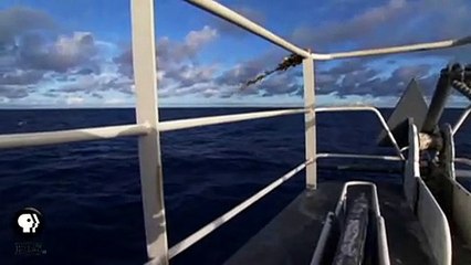 JEAN-MICHEL COUSTEAU: OCEAN ADVENTURES |   Shipwreck | PBS