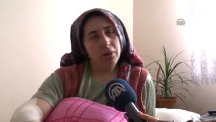 Sokak Köpeklerinin Kadına Saldırma Anı Güvenlik Kamerasında