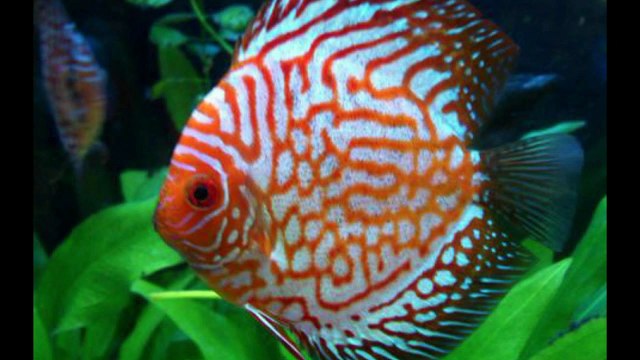 islamic miracle عجائب وغرائب العالم ومشاهد عجيبة وغريبة لااله الا الله