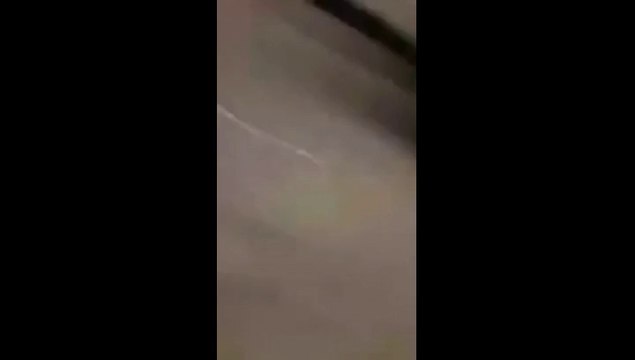 Детская шутка с мусорным баком стала причиной зрелищного инцидента в метро Нью-Йорка. ВИДЕО