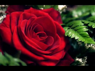 mymp - only reminds me of you (lyrics)