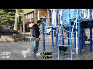 Vos enfants disent-ils vraiment non aux inconnus ? (Expérience sociale)
