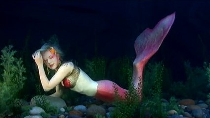 Social PakistanBeautiful Mermaid Discovers Underwater in New York