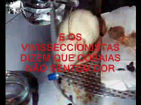 As verdades que as mentiras escondem