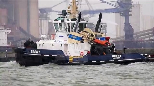 Scheepvaart op de Nieuwe Waterweg t.h.v Hoek van Holland 24 6 2013