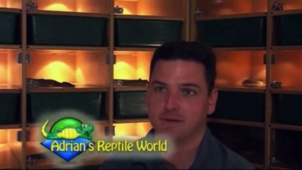 Keeping Children's Pythons