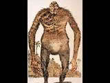 Weird Cryptids of Australia