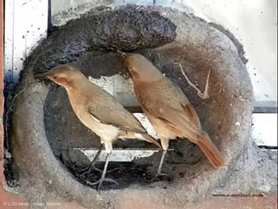قدرت کے کریشمے