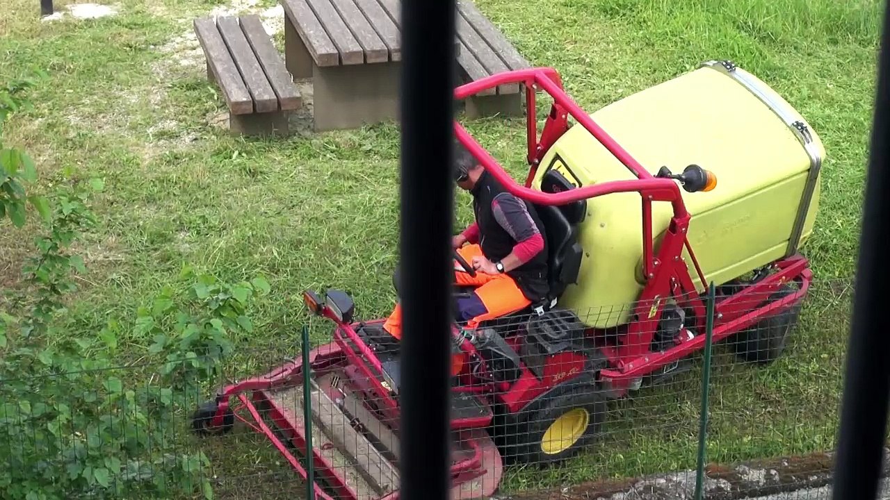 IL PUNTO D - Giardinaggio casinista