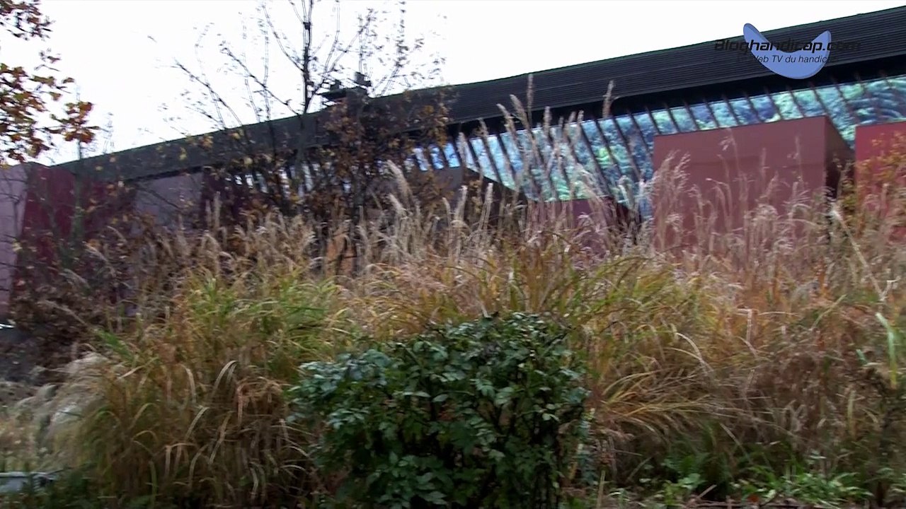 Présentation de la 3ème édition de la Semaine de l'Accessibilité au Musée du Quai Branly