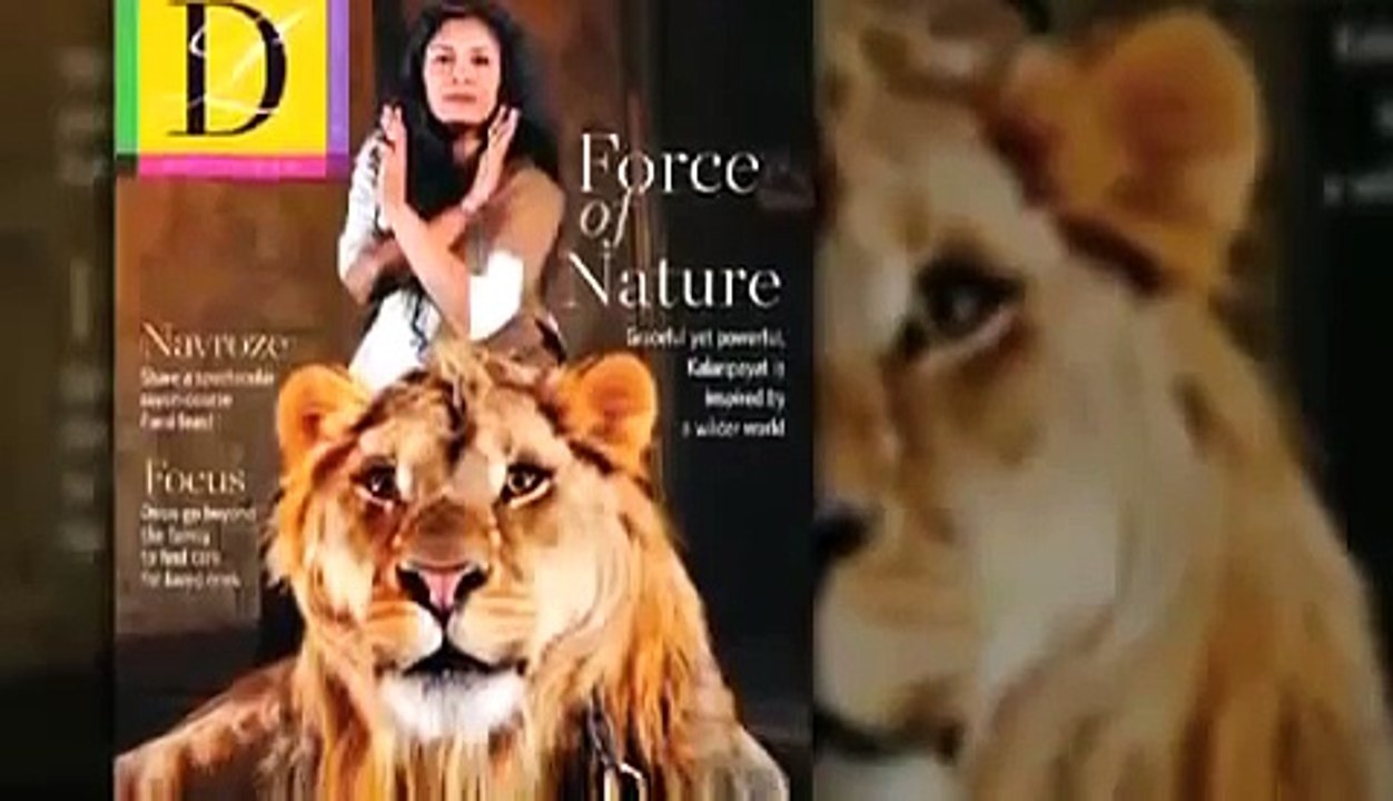 Fotoğraf Çekiminde Aslan Saldırısı