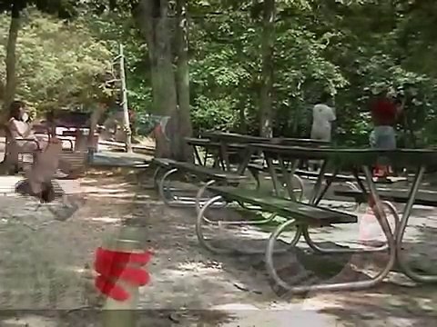 Hand-Feeding Hummingbirds (close-up hi res.)