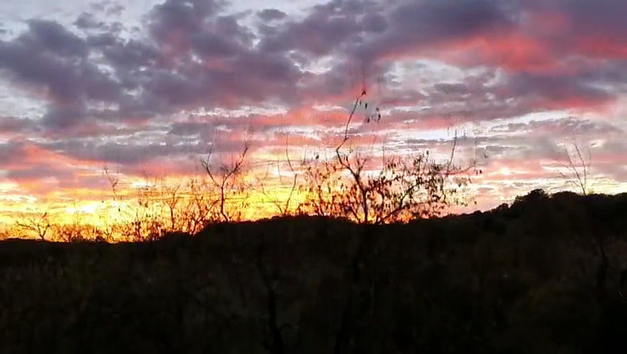 Yelawolf - Whiskey In A Bottle