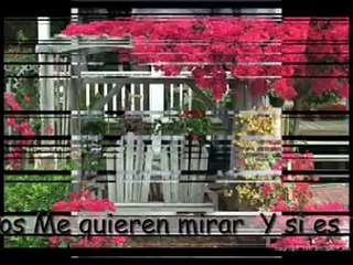 El dia que me quieras - Luis Miguel