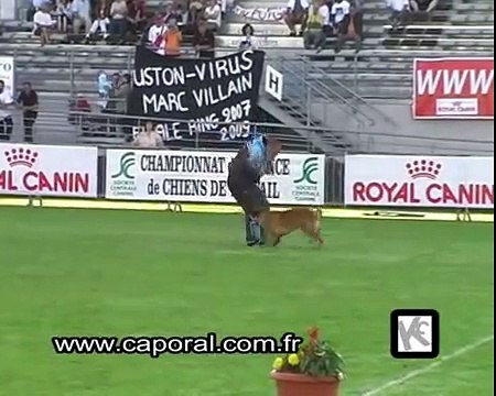 Le Best-Of - Finale de Ring - Brive 2009