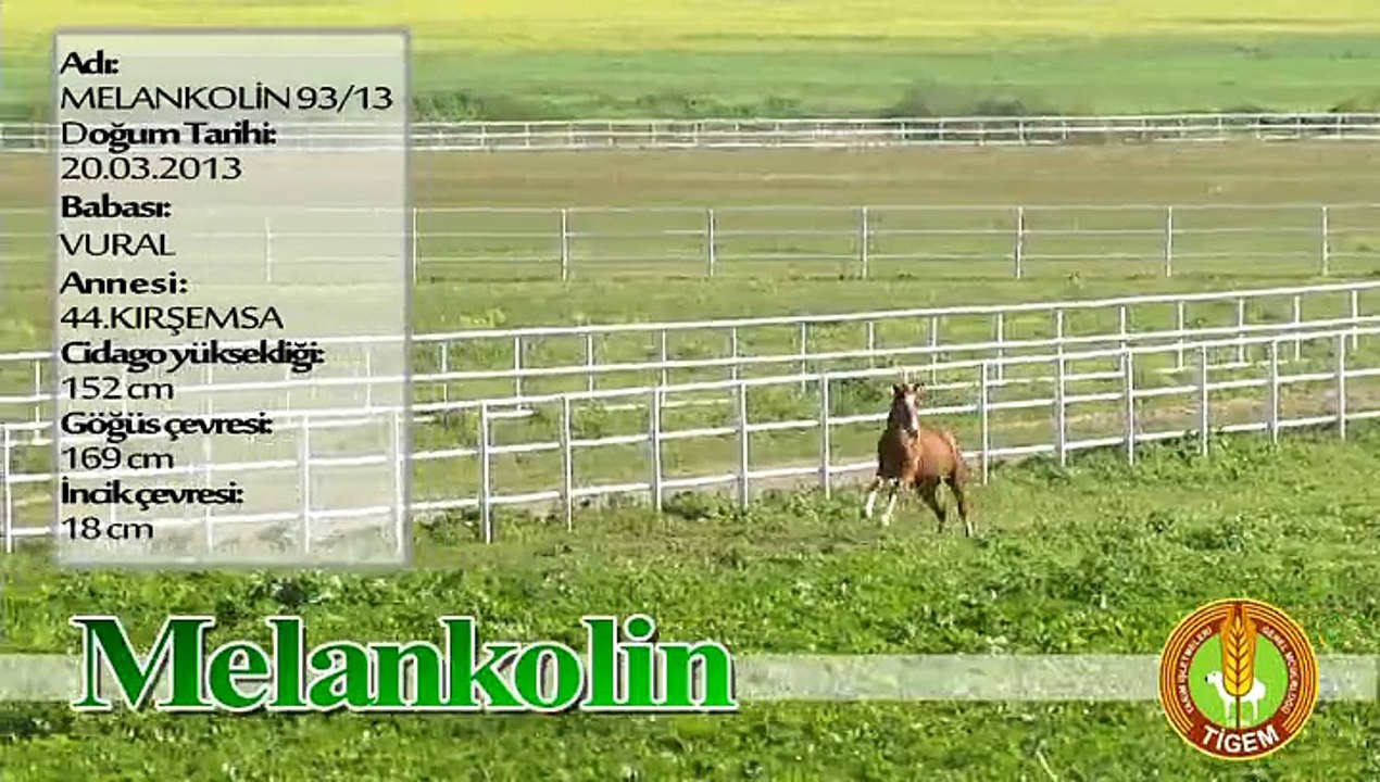 MELANKOLİN