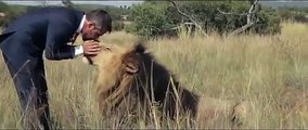 A world s first  Kevin Richardson playing football with wild lions