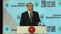 Erdoğan, Türkiye Ziraat Odaları Birliğ'nin 26. Olağan Genel Kurulu Toplantısı'na Katıldı 2