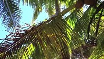 Our Carnival Spirit Cruise Holiday To New Caledonia & Vanuatu (Vlog)