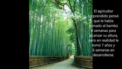 Video Motivacion para Docentes de Preescolar