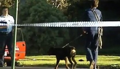 Police Under Fire - Man Hunt (Australia)