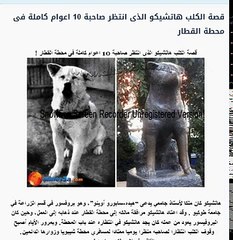 قصة الكلب هاتشيكو الذى انتظر صاحبة 10 اعوام كاملة فى محطة القطار