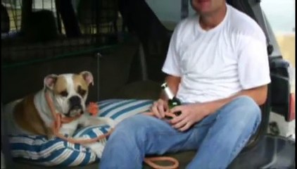 el encantador de perros - Bulldog al limite(5ªTemp.)(1de5)