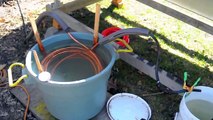 Tub of Water Solar Heat Exchanger Experiment: Mar. 22, 2010