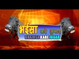 भईसा करे जुगाड़  - Bhaisa Kare Jugad - Bhojpuri Hot Songs HD