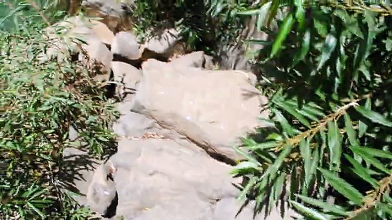 water fall