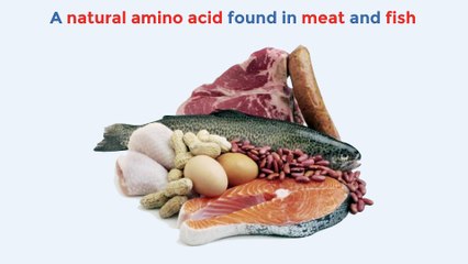 Does creatine cause hair loss?