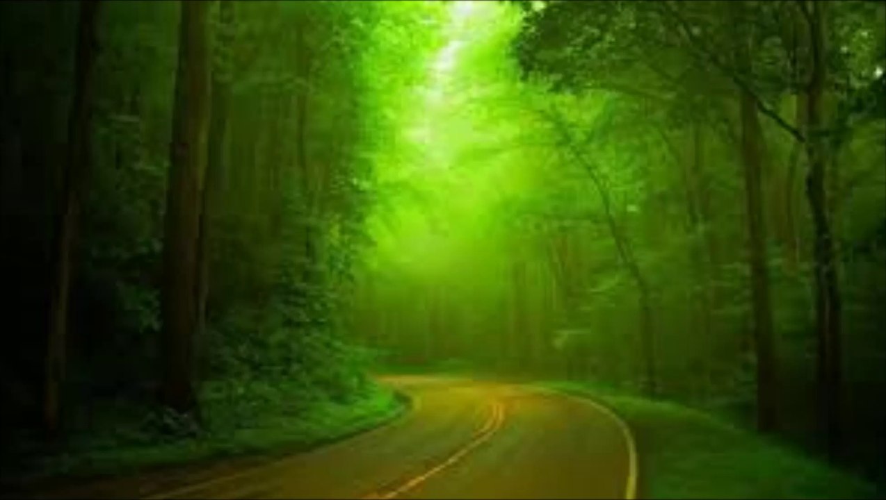 Desiderii Marginis - The Ever Green Tree