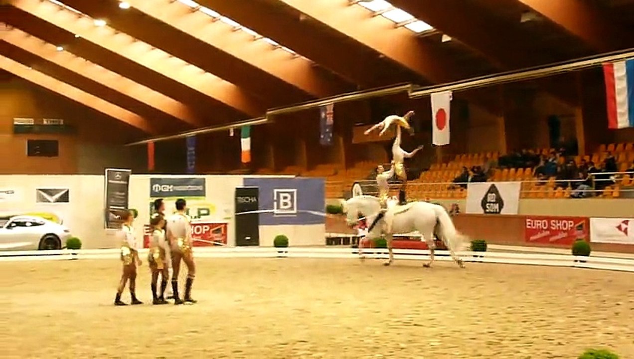 CVI Belgium 2015 Team France Freestyle