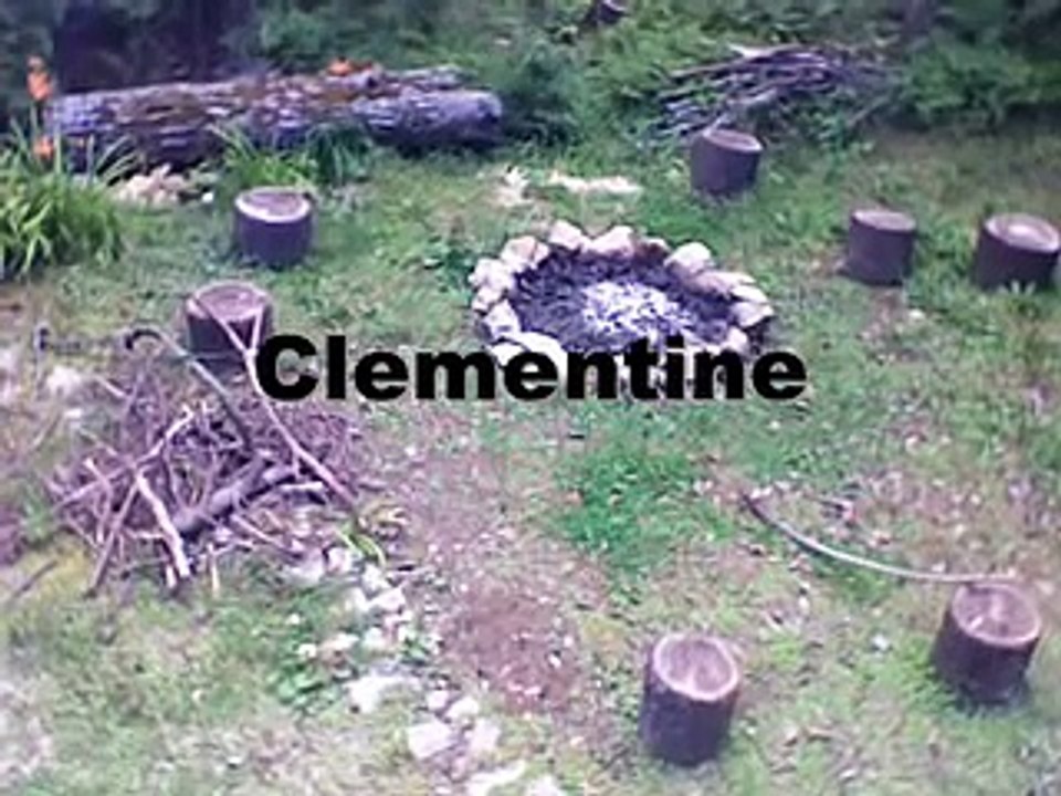 Clementine