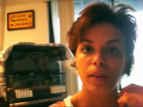 Feeding the baby parrots