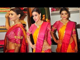 Sexy Sara Loren Wearing Low West Saree Looking KADAK AUNTY !
