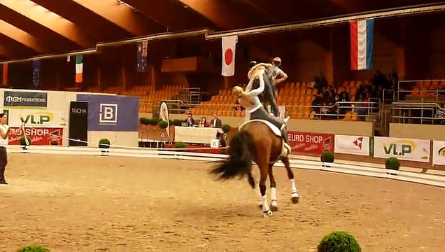 CVI Belgium 2015 Lahoms Voltige (SWE) Freestyle