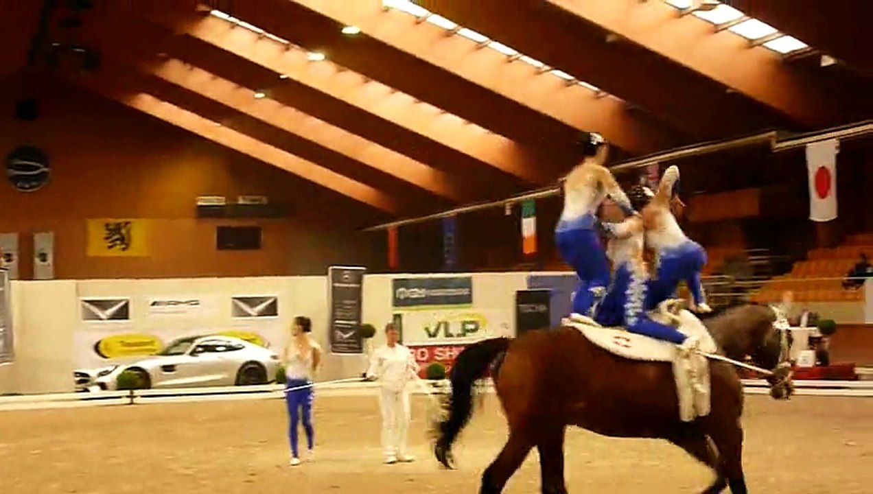 CVI Belgium 2015 Team Harlekin (SUI) Freestyle