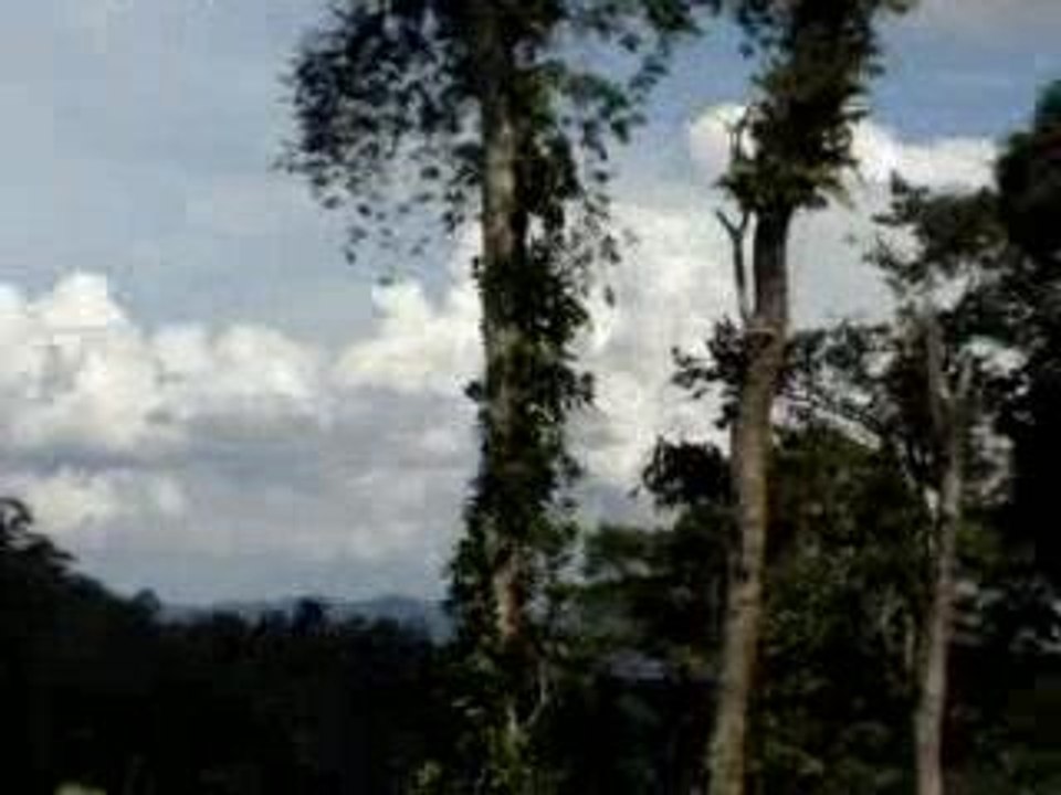 MOV00155