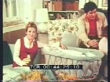 Gianni Morandi spot elettorale referendum sul divorzio 1974