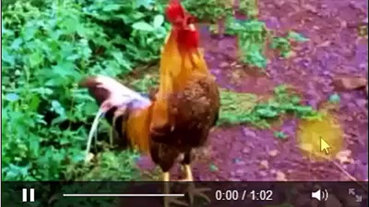 Sai sai abuki lisusu batu panzi na danse ya floriane pona kosepela liberté na ye.