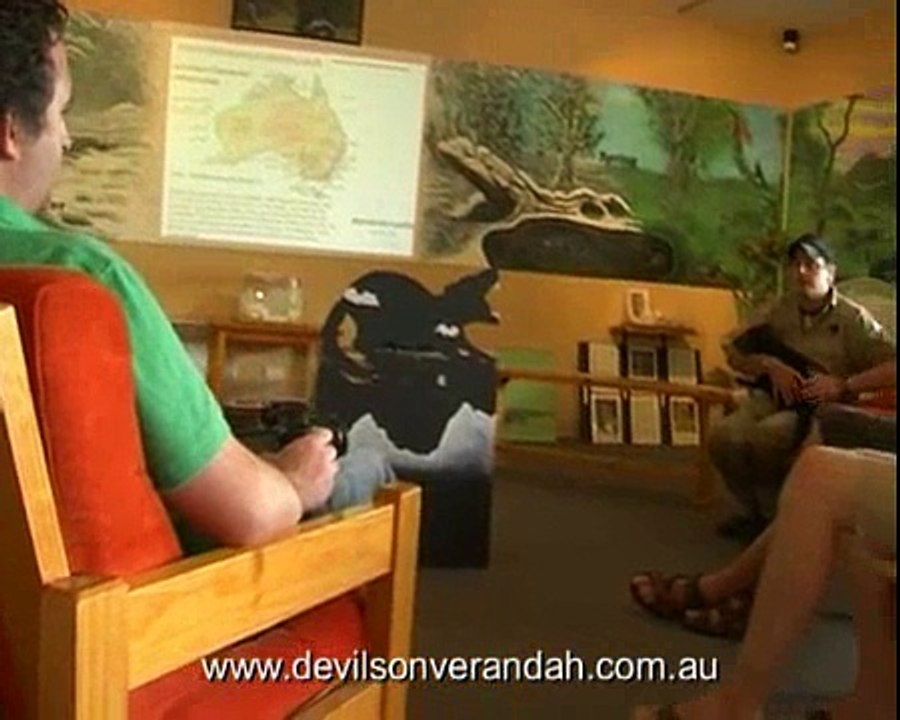 Tasmanian Devil - Devils@Cradle - DEVILS ON THE VERANDAH