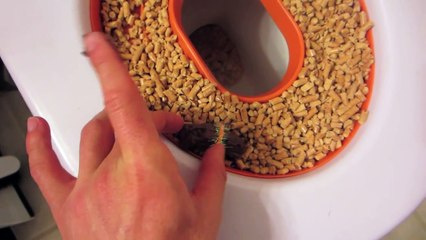 APRIL FOOLS POOP PRANK