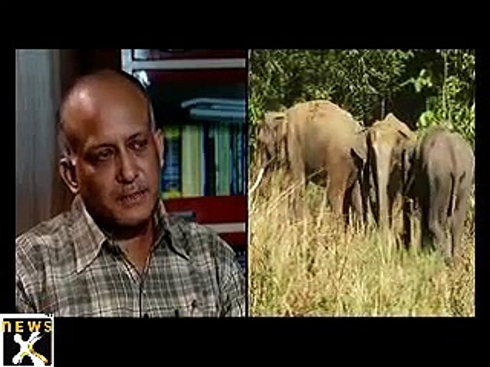 India Endangered, Elephants on the Brink -- I