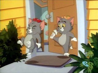 Tom & Jerry Kids  Fraidy Cat 2015may