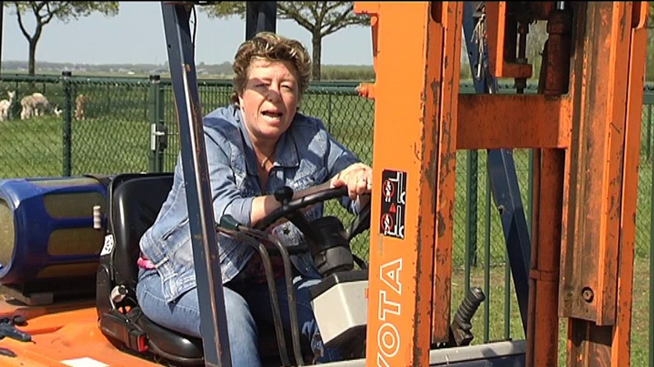 Het Weer Harma bie de boer [852015] RTV Noord Video Dailymotion