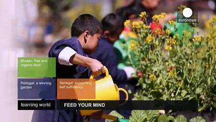 İlköğretimde uygulamalı organik gıda eğitimi öğrencilerin davranış biçimlerini değiştirdi