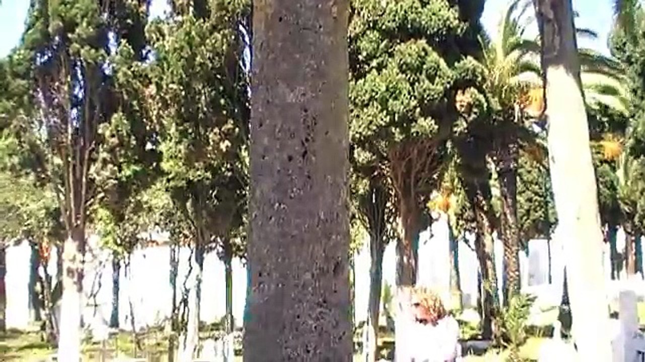 El cementerio español de Tetuan (Marruecos)  -  The spanish cemetery of Tetouan (Morocco)